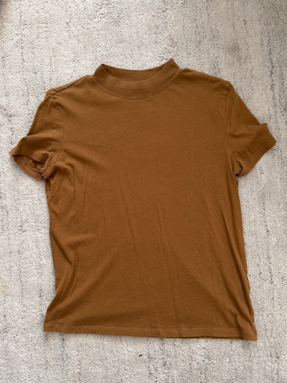 Zara Crew Neck Tee in Camel Brown